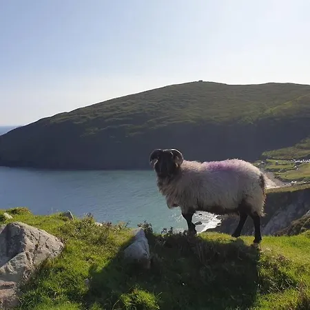 Holiday home Sea To Summit Slievemore